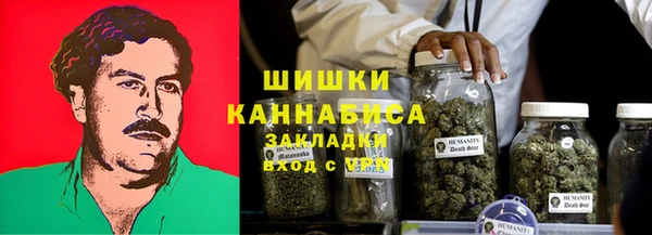 дживик Елабуга