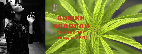 дживик Елабуга
