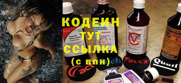 дживик Елабуга