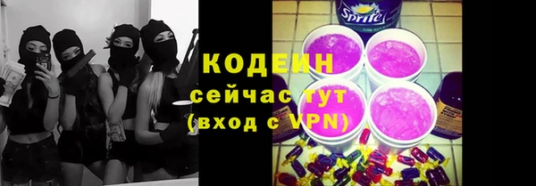 дживик Елабуга