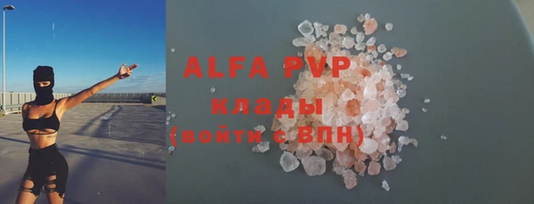 дживик Елабуга