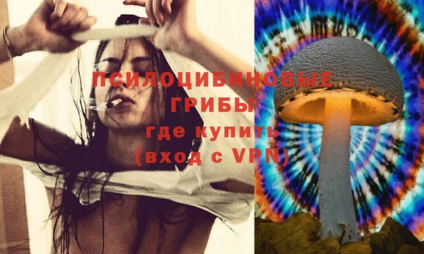 дживик Елабуга